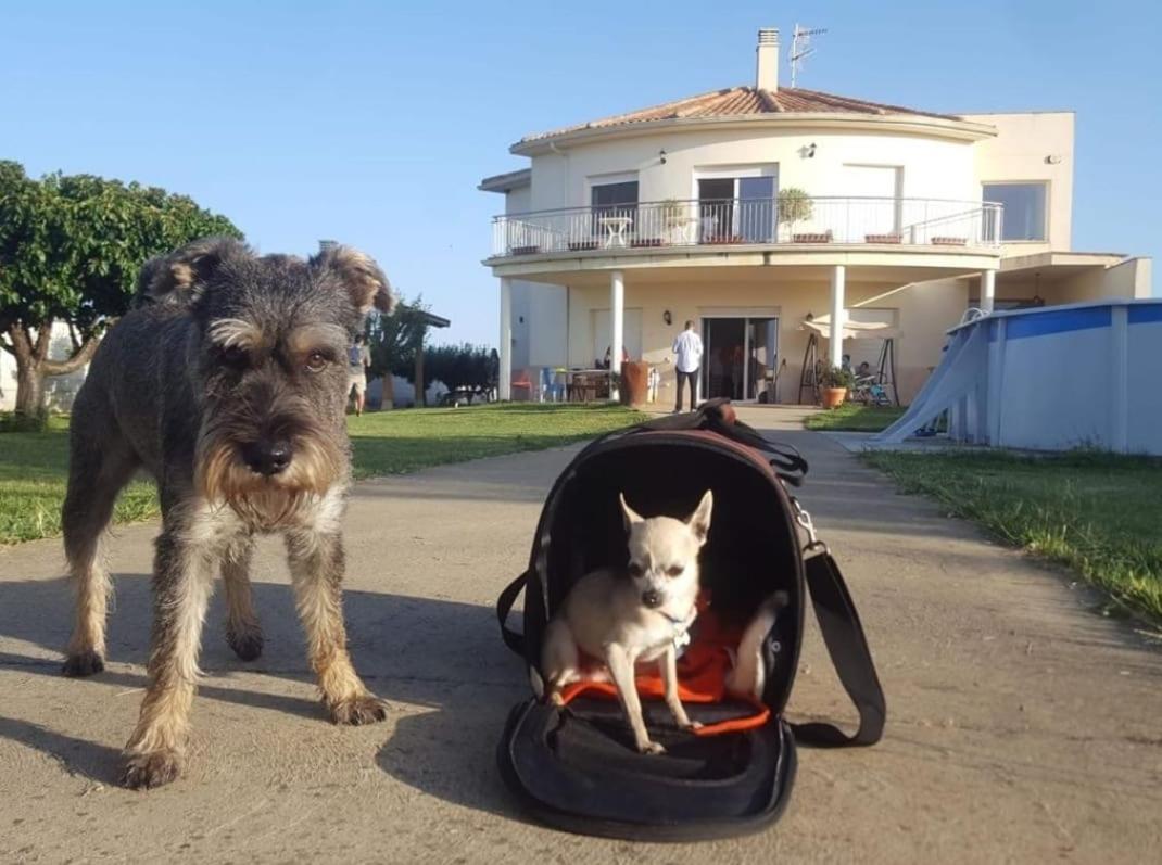 Casa Miguel Y Sally Villanueva de Las Manzanas Zewnętrze zdjęcie